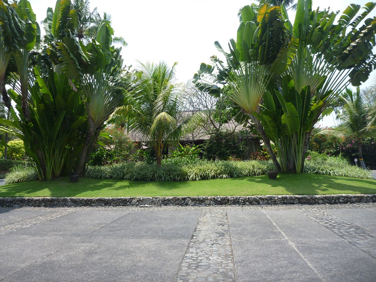 P1010416_R.JPG