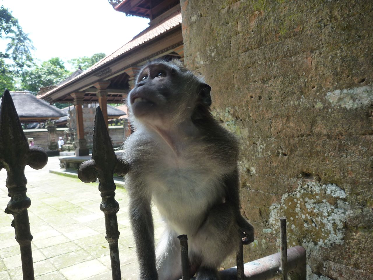 P1010608_R.JPG