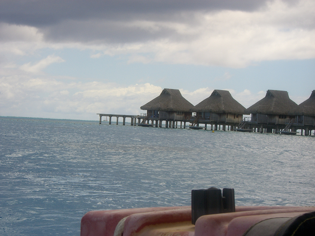 resize1070.jpg