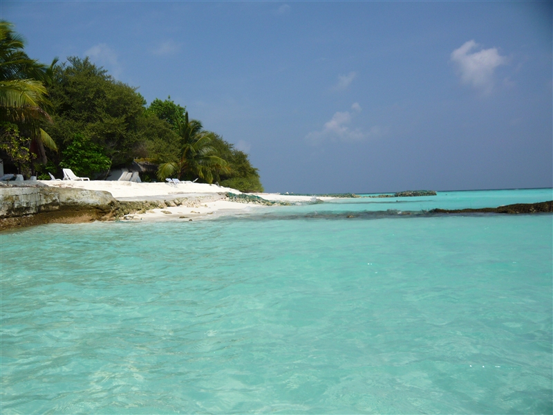 tragiri-unei0001.jpg