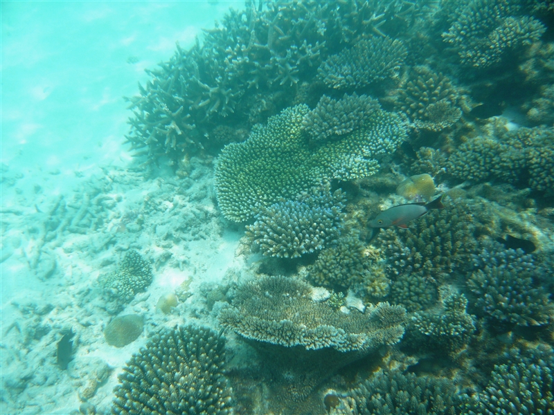 tragiri-unei0005.jpg