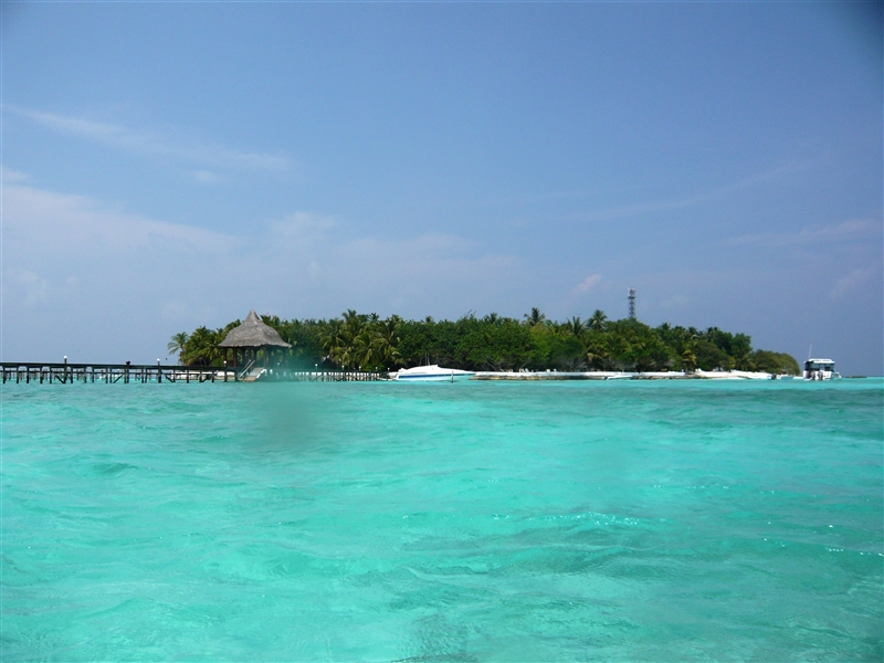 tragiri-unei0006.jpg