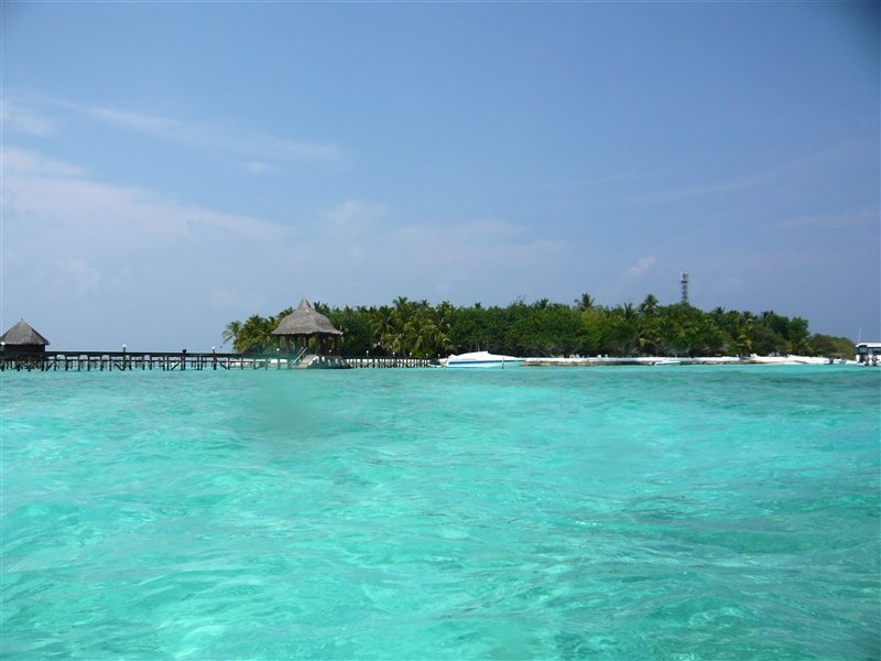 tragiri-unei0007.jpg