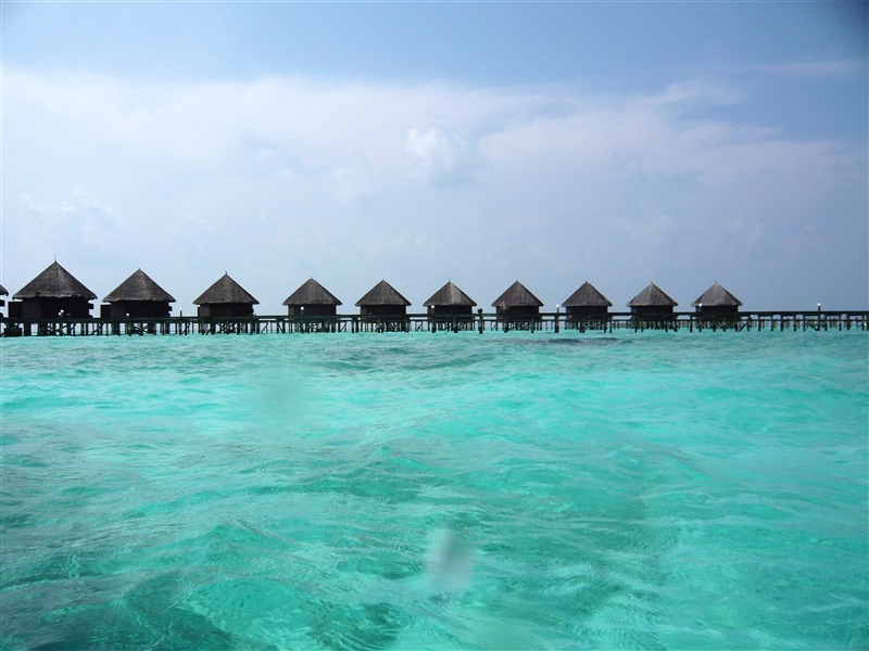tragiri-unei0008.jpg