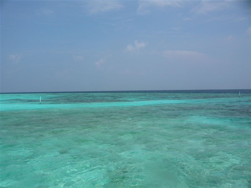 tragiri-unei0009.jpg