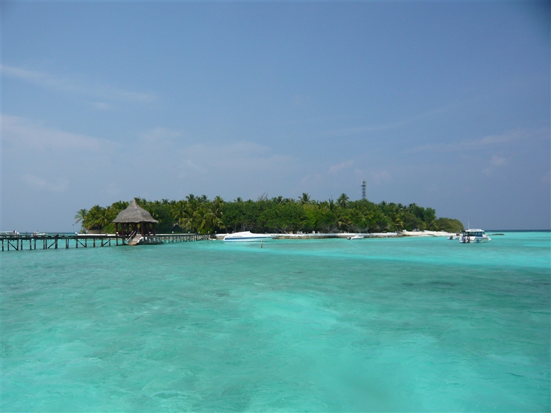 tragiri-unei0010.jpg