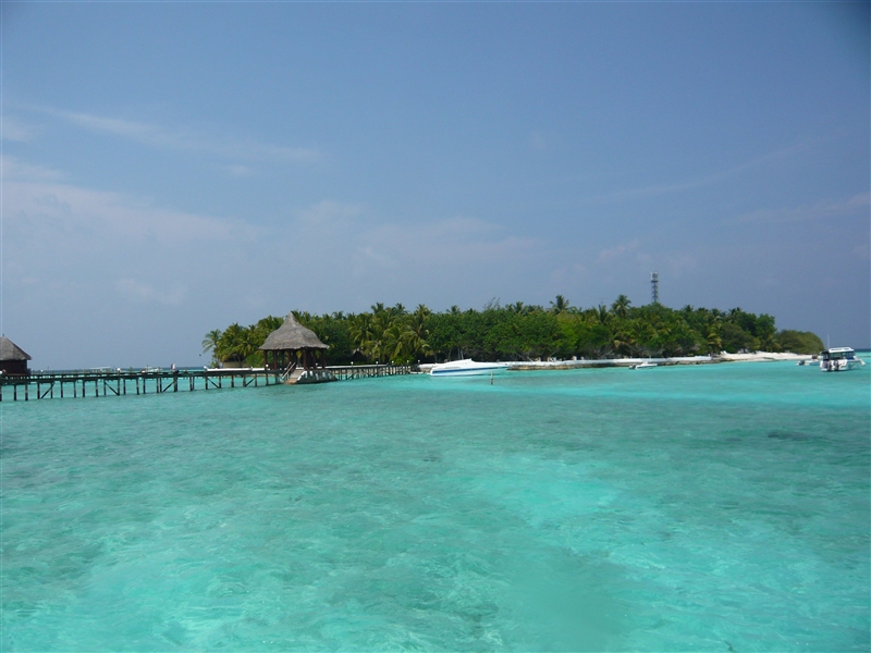 tragiri-unei0011.jpg