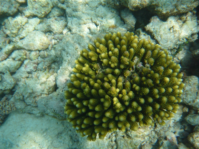 tragiri-unei0013.jpg