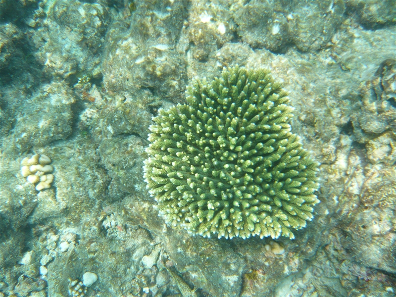 tragiri-unei0015.jpg
