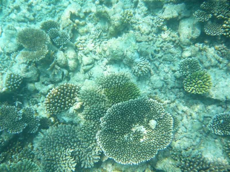 tragiri-unei0018.jpg