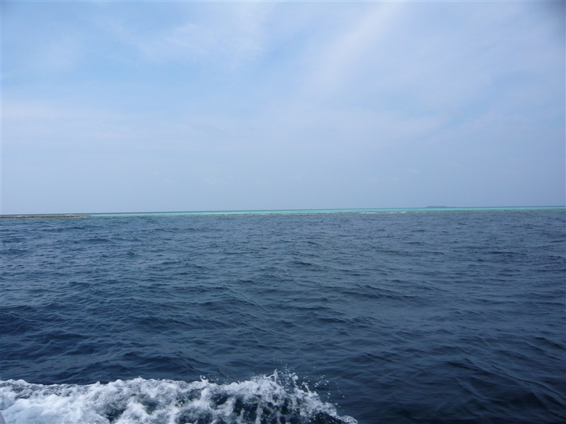 tragiri-unei0027.jpg