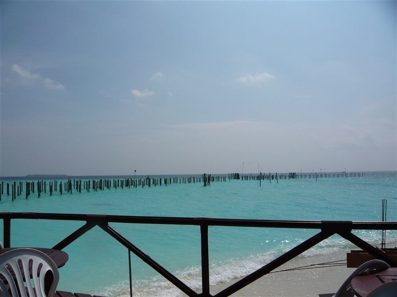 tragiri-unei0044.jpg