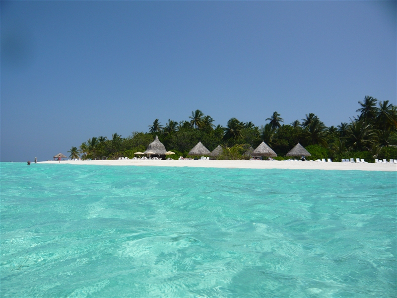 tragiri-unei0050.jpg