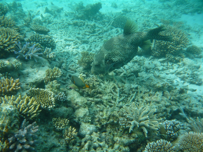 tragiri-unei0054.jpg